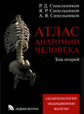 Атлас анатомии человека. В 4-х т. Том 2. (Спланхнология, эндокринные железы.). Д/ВУЗов.