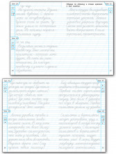 Тренажёр по чистописанию. 2 класс. Учимся писать грамотно. ФГОС (Вако)